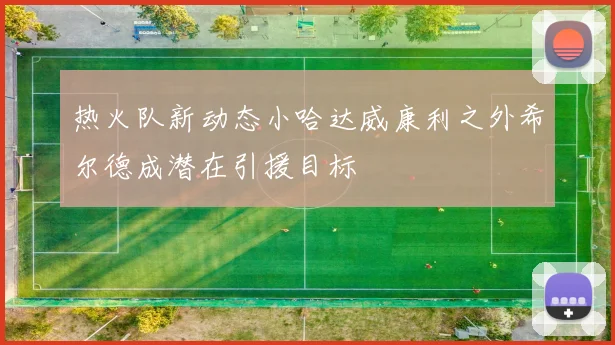 热火队新动态小哈达威康利之外希尔德成潜在引援目标