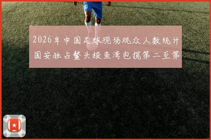 2026年中国足球现场观众人数统计国安独占鳌头梭鱼湾包揽第二至第七位